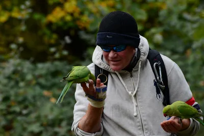 DSC_0484 (Large).JPG